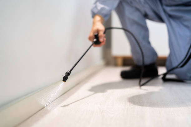 Bed Bug Pre-Treatment Preparation Assessment in Vallejo
