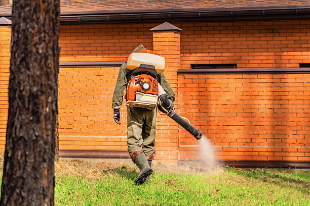 Bed Bug Clearance Verification and Documentation in Vallejo